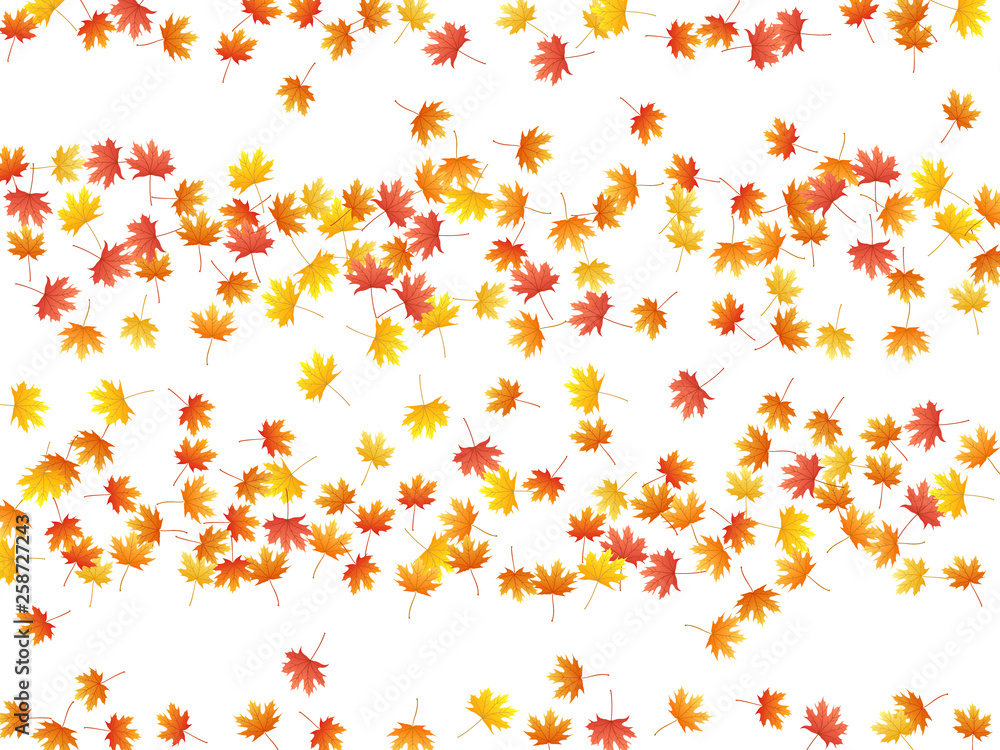 Obraz premium Maple leaves vector background, autumn foliage on white graphic design.