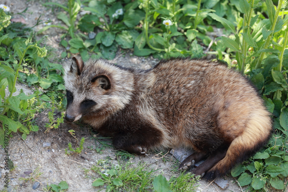 1000_F_258727807_tmTRDwJeALdMB