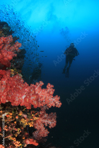 Scuba diving on coral reef in Thailand 