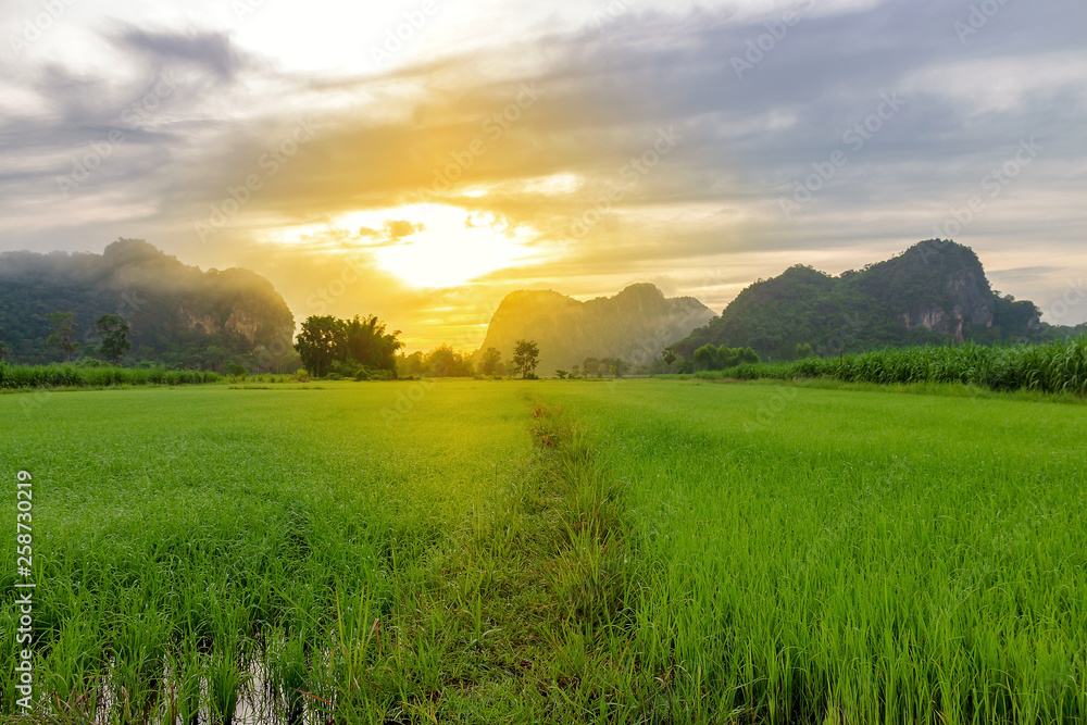 Mountain landscape of Thailand countryside on morning. Full of green nature. Of trees and rice plots The sun shines through the hills. cloud and fog