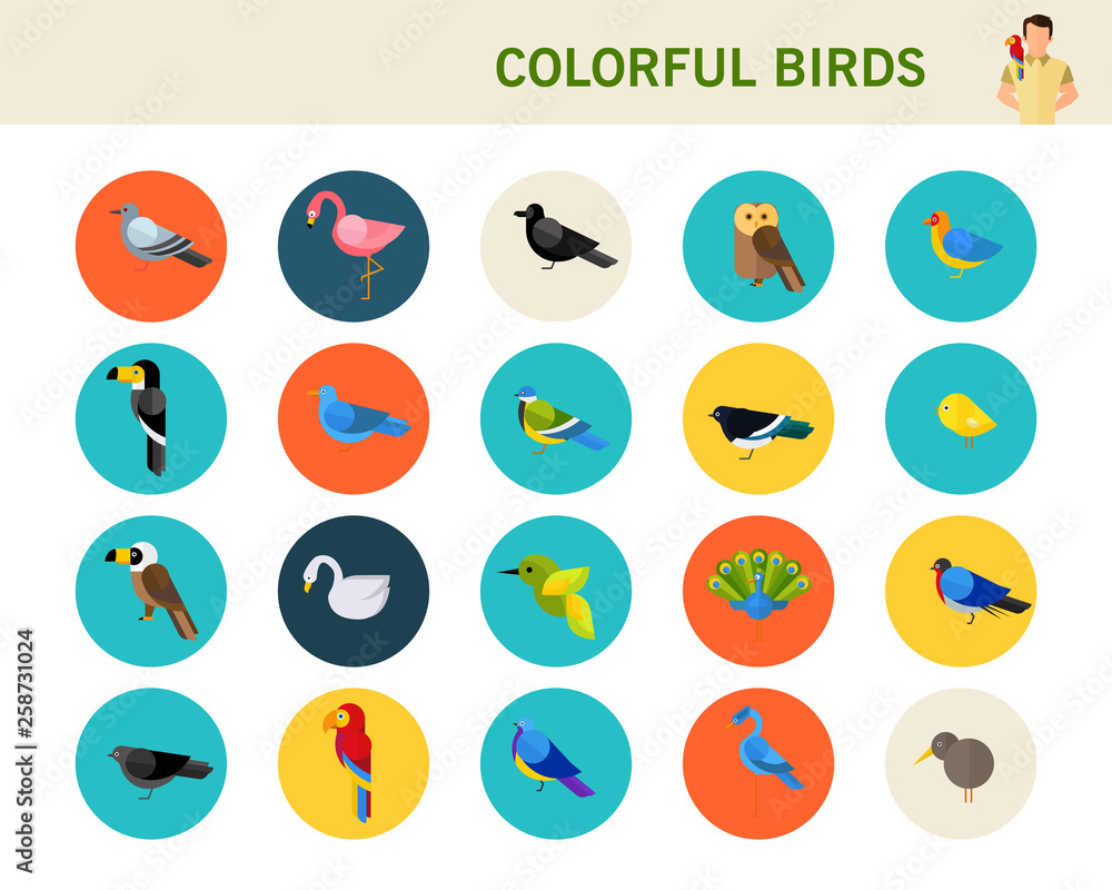 colorful birds concept flat icons.