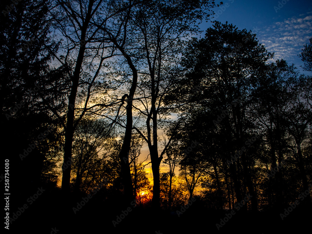 yellow and blue sunset in the spring yellow and blue sunset in the spring