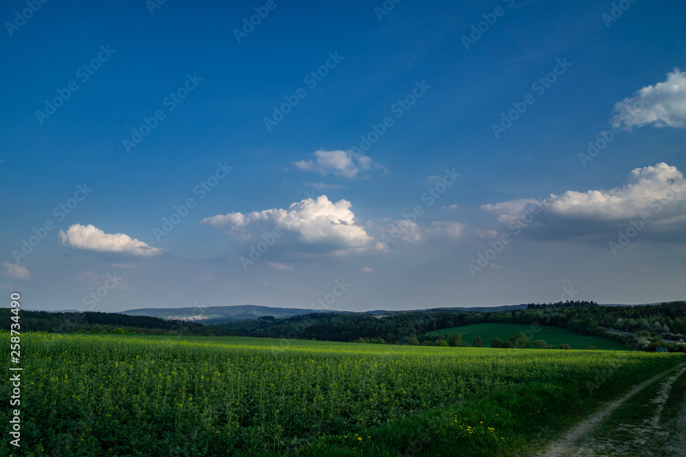 Taunus bei Kemel Landschaft 