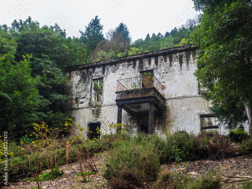 Abondoned ruin of historical villa house in tropical forest on footpath hiking trail near Furnas, Sao Miguel island, Azores, Portugal © Kristyna