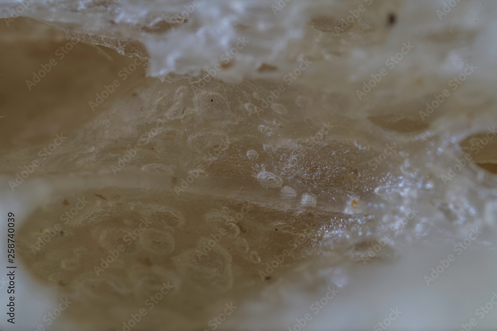 Bread Texture Bread Texture