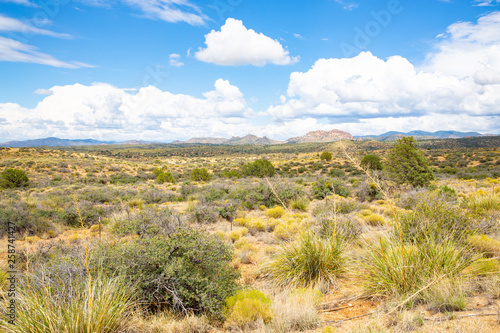 Scenic landscape in Hidalgo County  New Mexico  USA