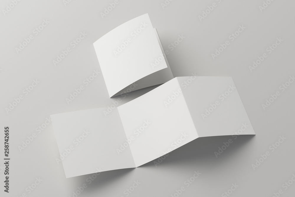 Blank trifold brochure booklet Blank trifold brochure booklet