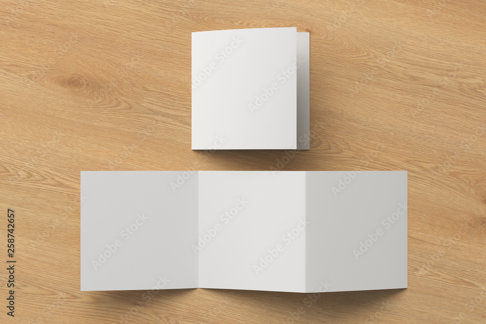 Blank trifold brochure booklet Blank trifold brochure booklet