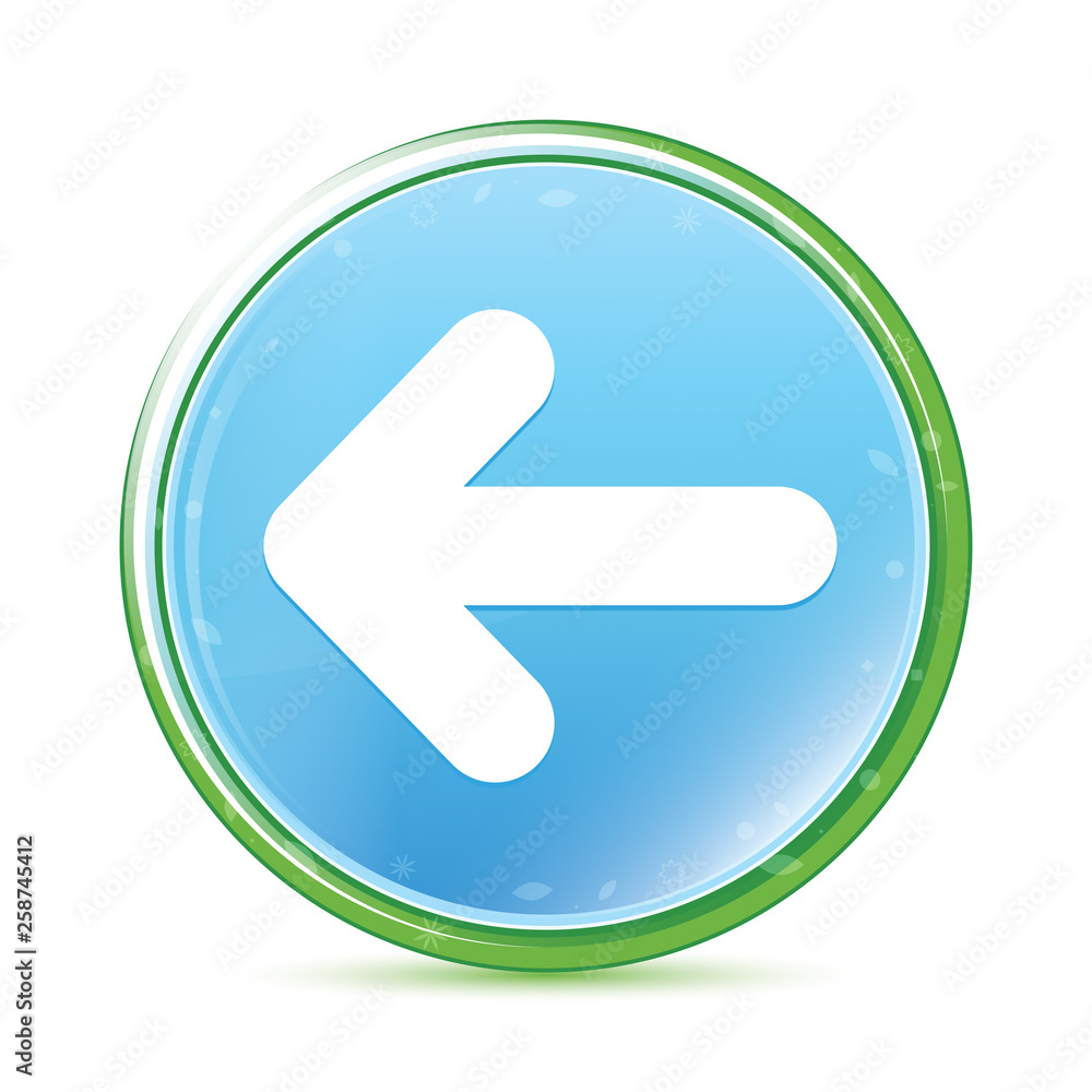 Back arrow icon natural aqua cyan blue round button Back arrow icon natural aqua cyan blue round button