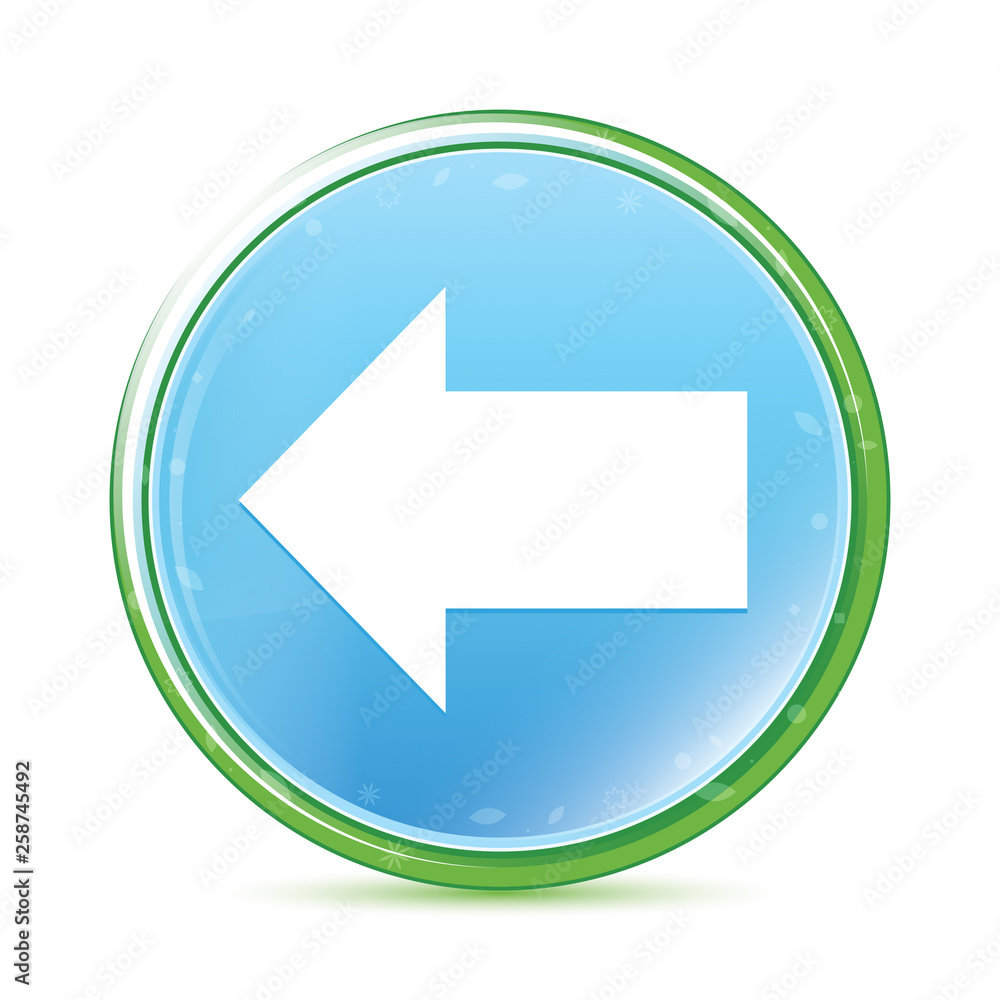 Back icon natural aqua cyan blue round button Back icon natural aqua cyan blue round button
