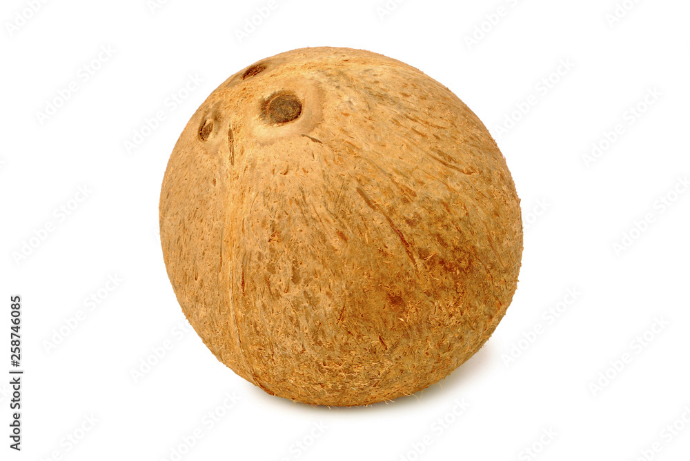 Dried coconut on white background.with clipping path. Dried coconut on white background.with clipping path.