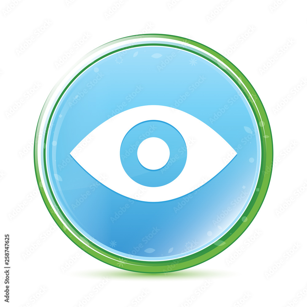 Eye icon natural aqua cyan blue round button Eye icon natural aqua cyan blue round button