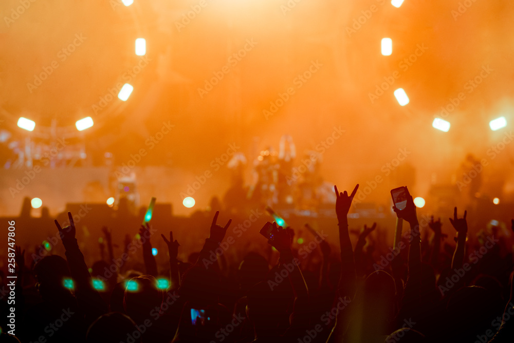 Fototapeta premium silhouettes of hand in concert.Light from the stage.