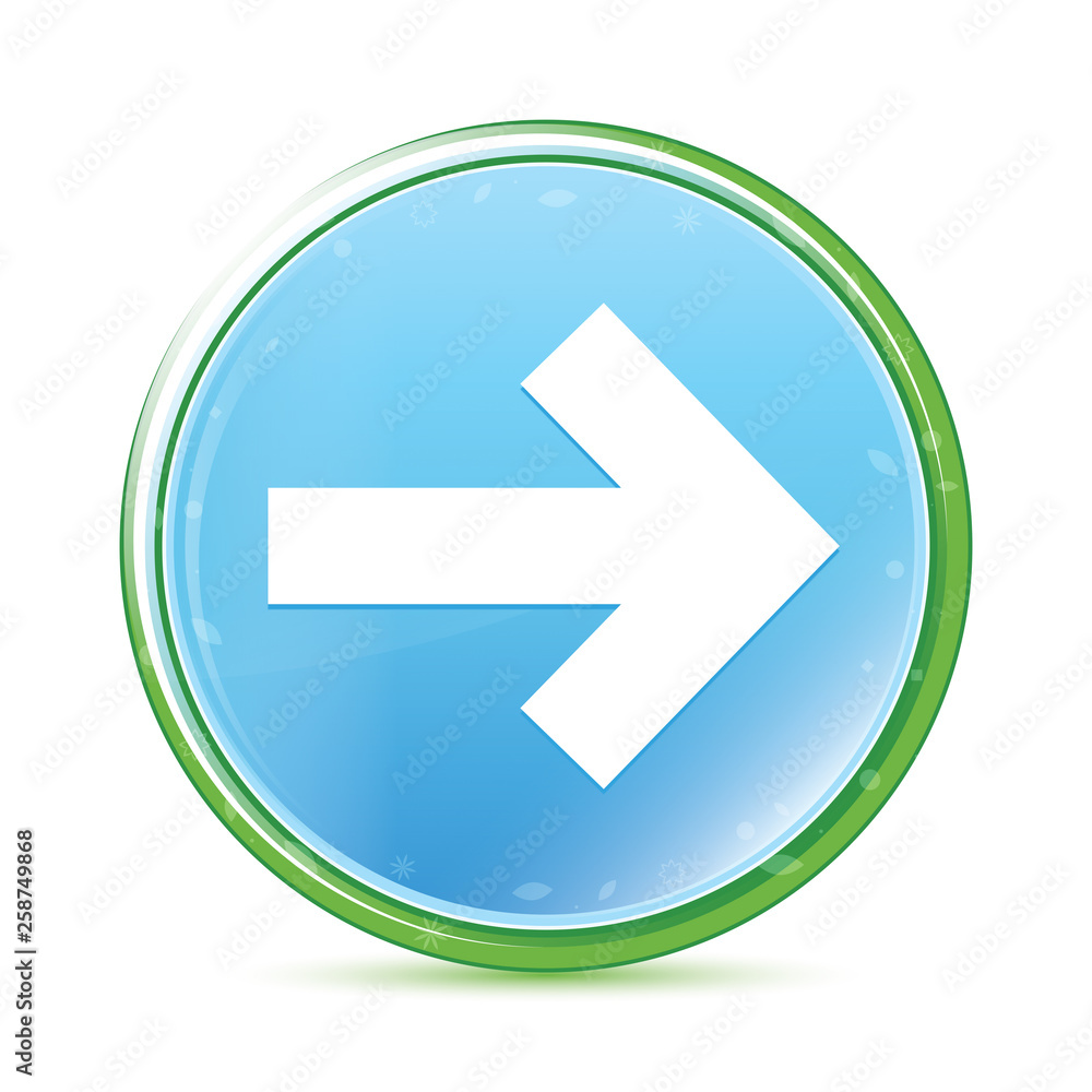 Next arrow icon natural aqua cyan blue round button Next arrow icon natural aqua cyan blue round button