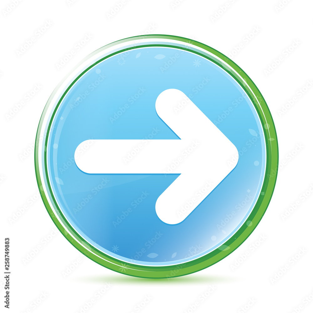 Next arrow icon natural aqua cyan blue round button Next arrow icon natural aqua cyan blue round button