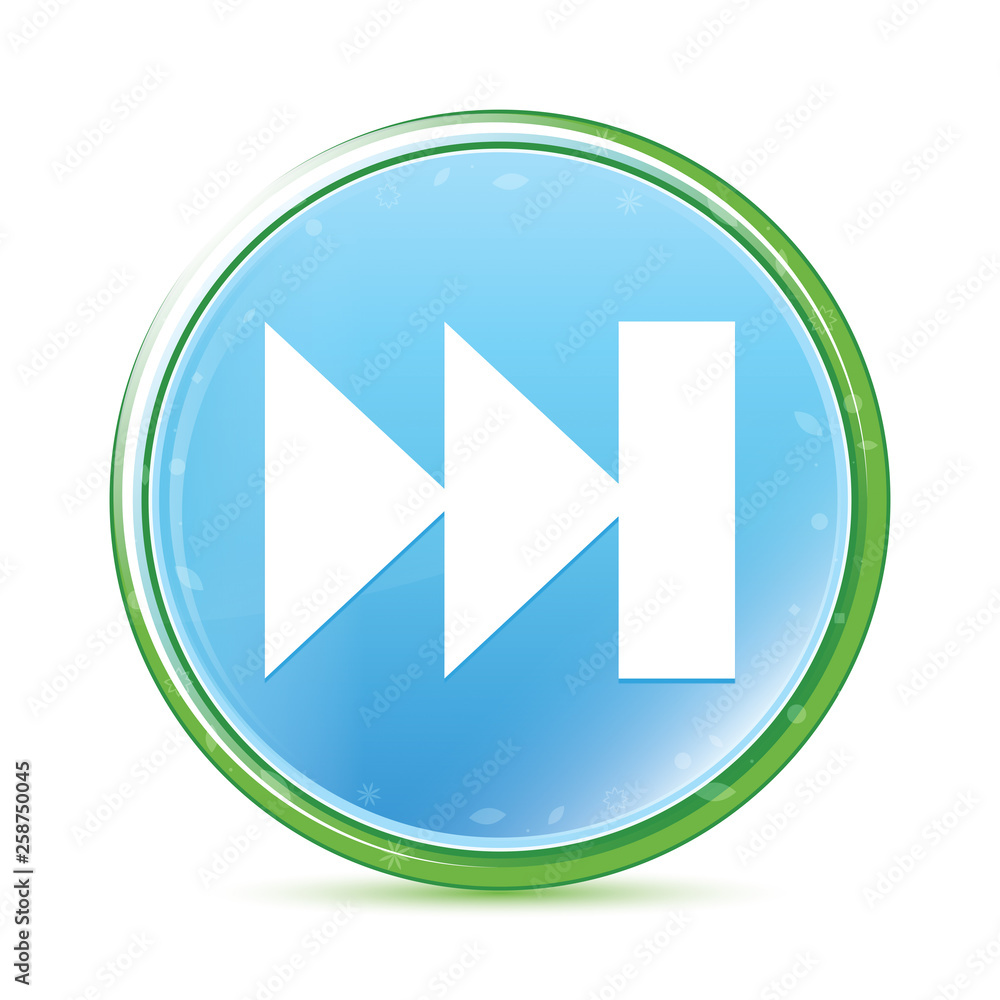 Next track playlist icon natural aqua cyan blue round button Next track playlist icon natural aqua cyan blue round button