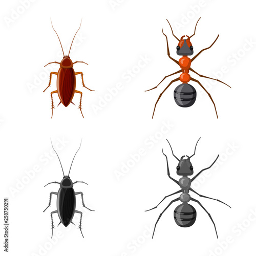 Vector design of insect and fly icon. Collection of insect and element stock symbol for web. © Svitlana
