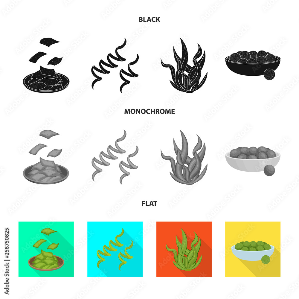 Isolated object of protein and sea icon. Set of protein and natural stock vector illustration.