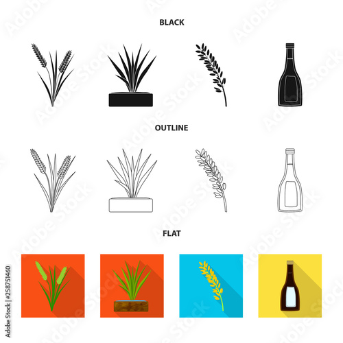 Vector design of crop and ecological sign. Set of crop and cooking stock symbol for web.