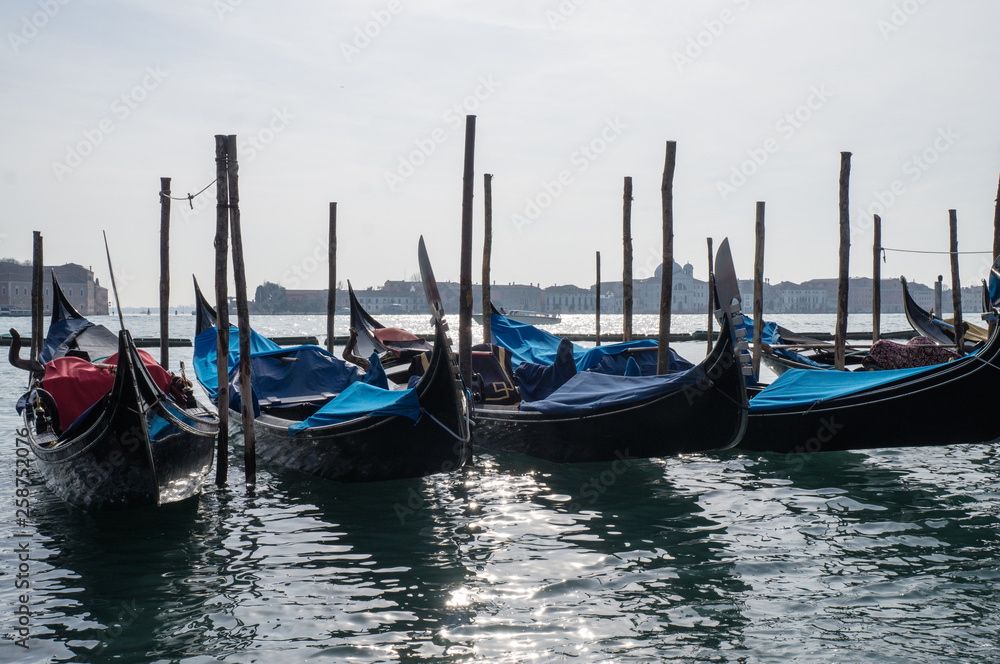 Many gondolas tied to long stumps in Venice 