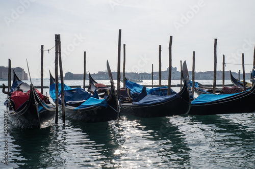 Many gondolas tied to long stumps in Venice  © Kirill