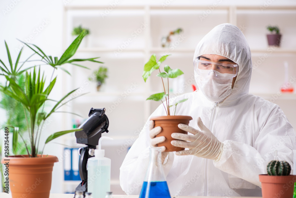 Biotechnology chemist working in lab Biotechnology chemist working in lab