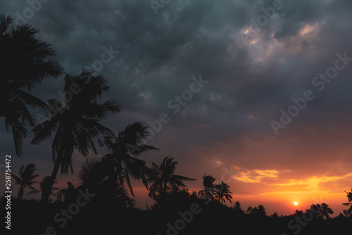 Sunset Sunrise Over Field and Coconut tree © anatskwong