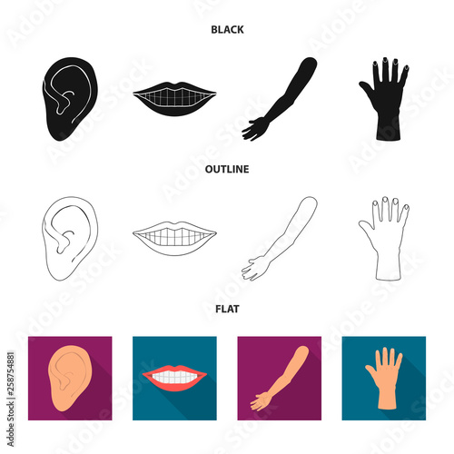 Vector design of body and part icon. Set of body and anatomy stock vector illustration.