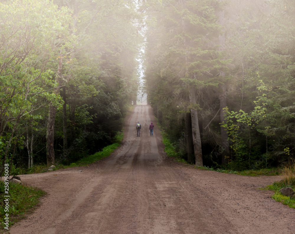 Obraz premium Village road in fog and walking people