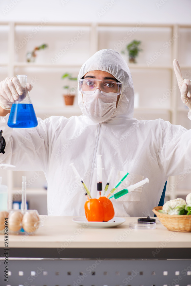 Scientist working in lab on GMO fruits and vegetables Scientist working in lab on GMO fruits and vegetables
