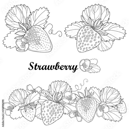 Set with outline Strawberry, bunch, berry, flower and ornate leaf in black isolated on white background. 