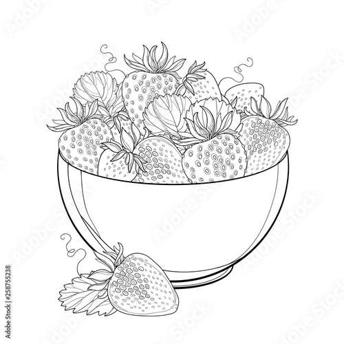 Bowl with outline Strawberry, berry and ornate leaf in black isolated on white background. 