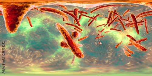 360-degree spherical panorama of bacteria Mycobacterium tuberculosis, and other mycobacteria, 3D illustration © Dr_Microbe