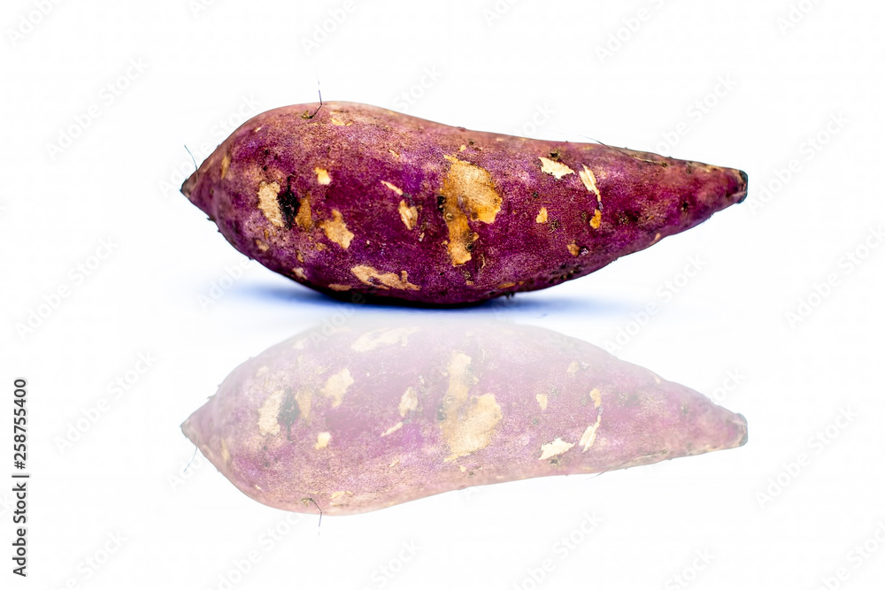 Raw organic sweet potato or yam yet or Ipomoea batatas isolated on white along with its reflection. Raw organic sweet potato or yam yet or Ipomoea batatas isolated on white along with its reflection.