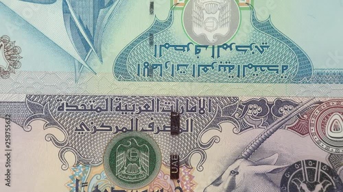 UAE dirham notes rotating. Emirates currency, money. 4K stock video footage photo