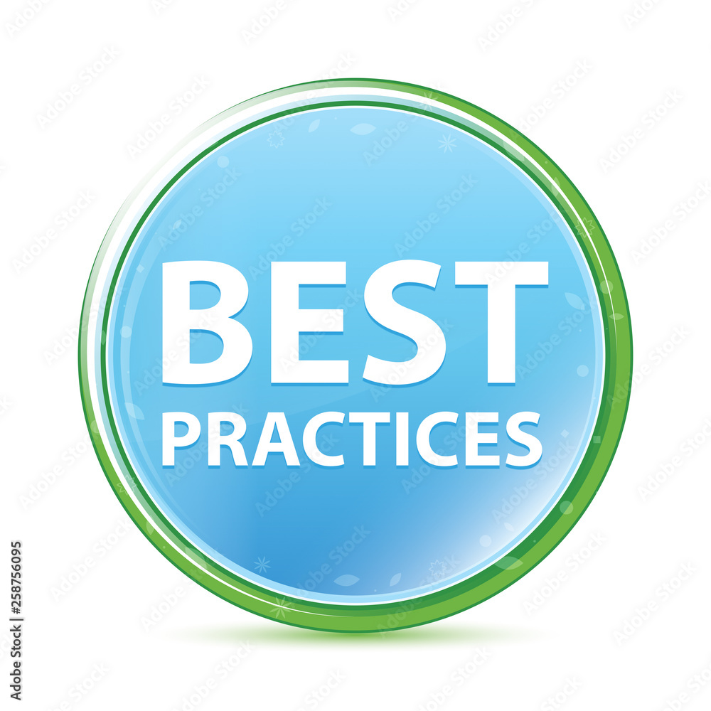 Best Practices natural aqua cyan blue round button Best Practices natural aqua cyan blue round button