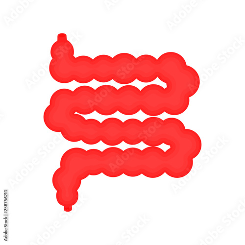 Human small intestine anatomy icon. flat cartoon style. bright and cute. Isolated on white background. vector illustration.