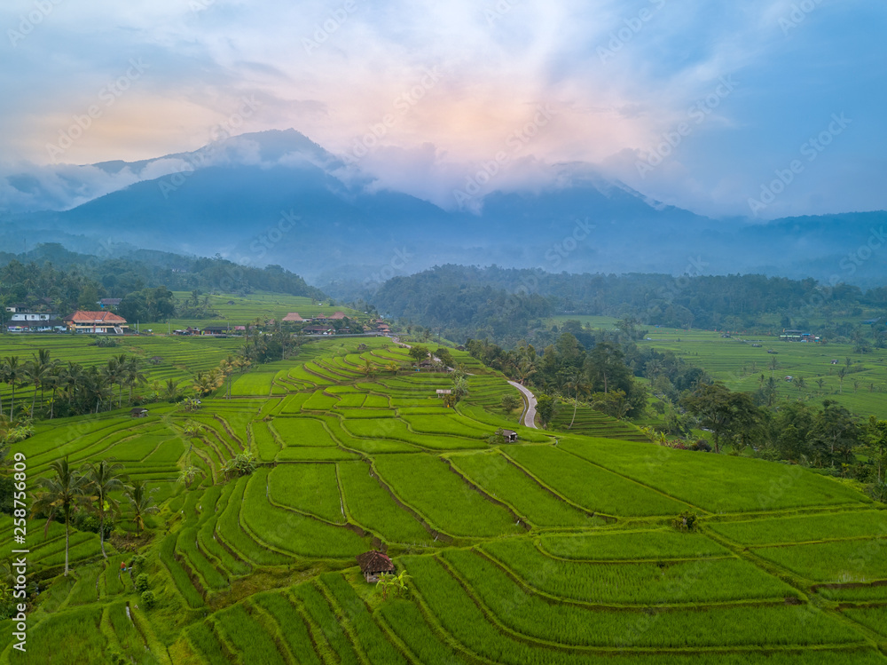 Rice Fields and Misty Mountains. Aerial View