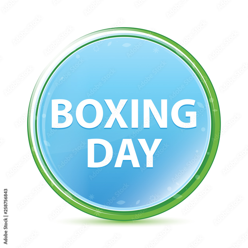 Boxing Day natural aqua cyan blue round button Boxing Day natural aqua cyan blue round button