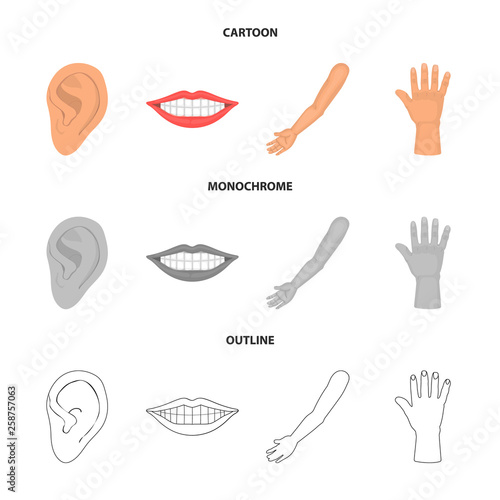 Vector illustration of body and part logo. Collection of body and anatomy stock vector illustration.