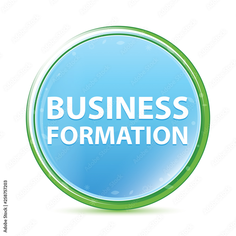 Business Formation natural aqua cyan blue round button Business Formation natural aqua cyan blue round button