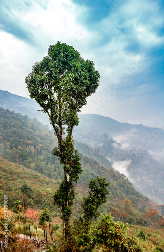 A Tranquil Mountain View In springs season in himalayas