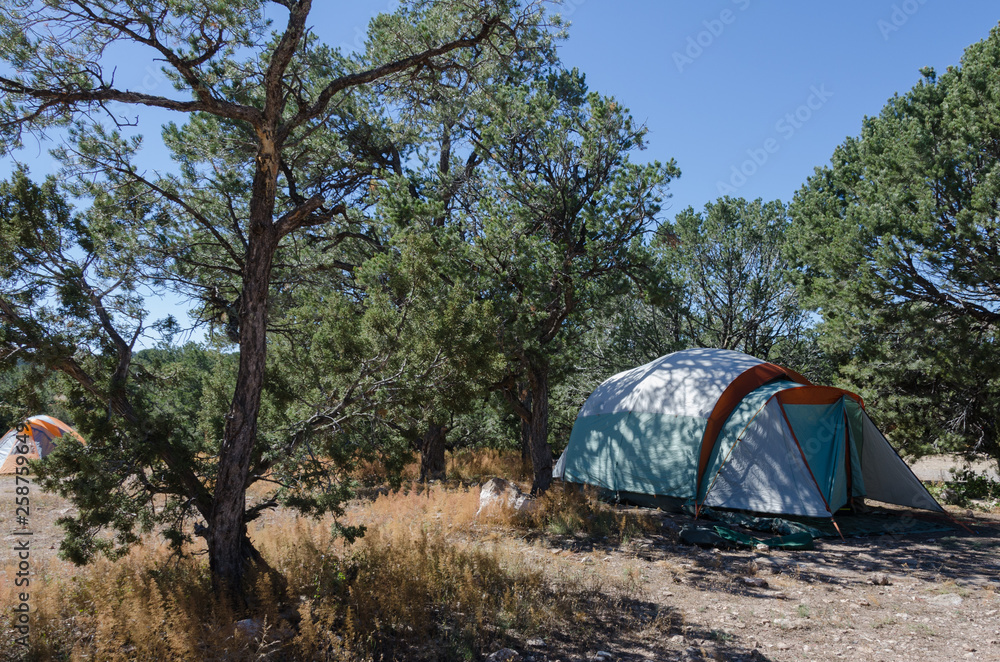 Camping Tents in Shady High Desert Forest