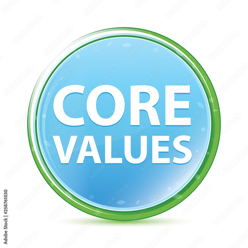 Core Values natural aqua cyan blue round button Core Values natural aqua cyan blue round button