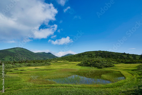 八甲田山 田茂萢湿原の夏