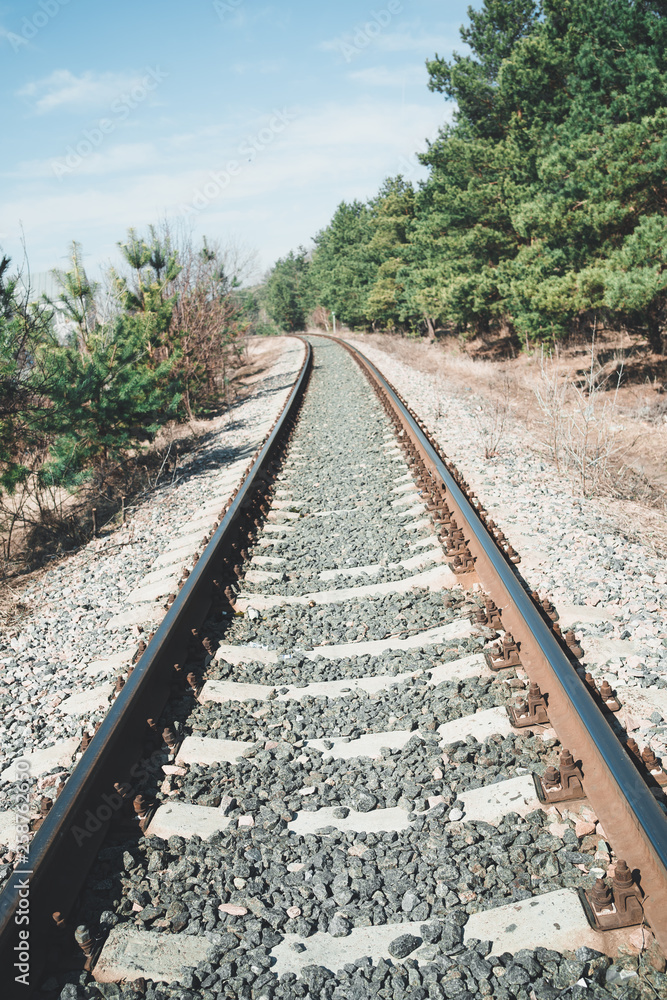Fototapeta premium Empty railway road in country Perspective view of railroad running away among green coniferous trees in sunny rural landscape