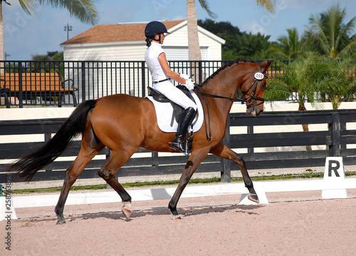 A woman wearing white completing a dressage test on a bay horse with beautiful movements