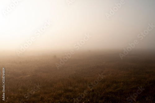 Early morning in the field with autumn fog and drops of water in the air. Tints of brown. Nothing could be seeing far away. Beautiful mistery landscape