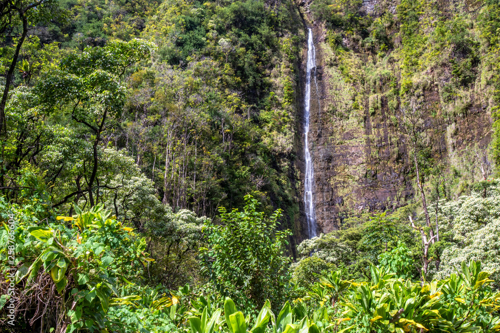 Fototapeta premium Waimoku on the island of Maui