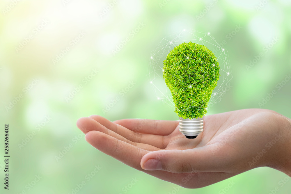 eco concept: variety of light bulbs with plant inside.hand holding eco  light bulb, save energy concept Stock 写真 | Adobe Stock